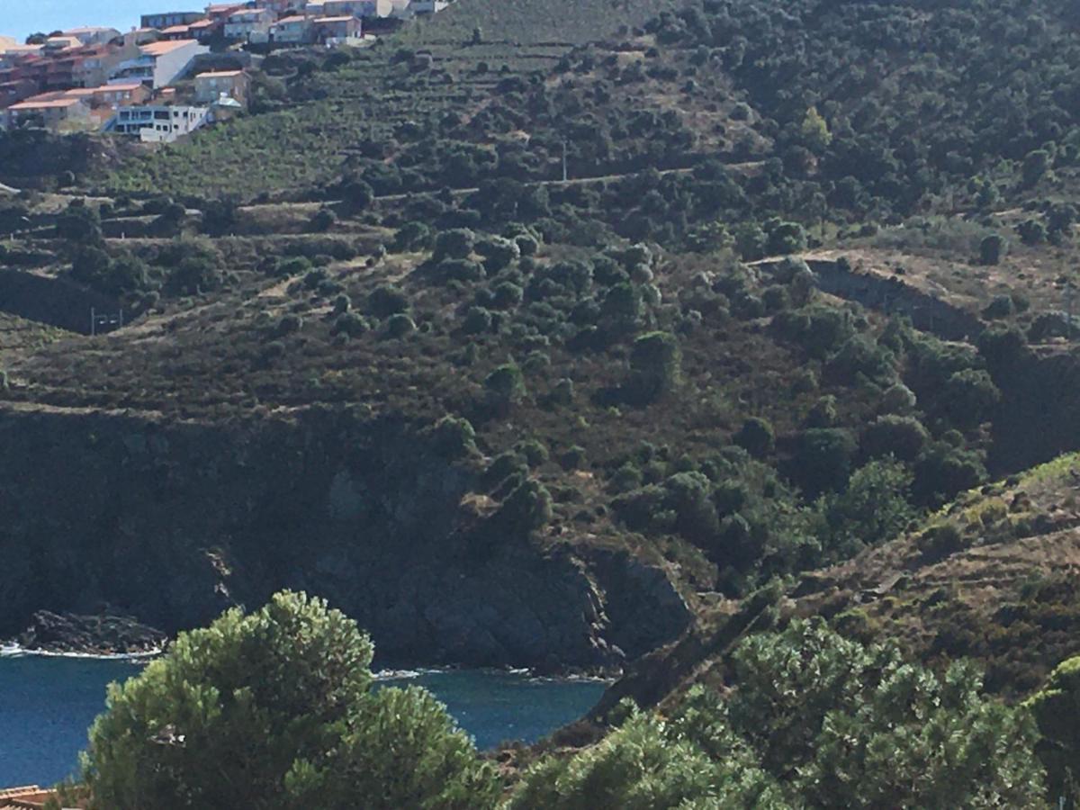Aloès