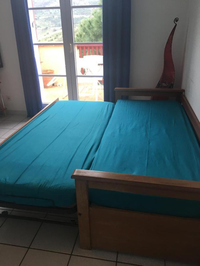 Apartment Aloes Cerbere