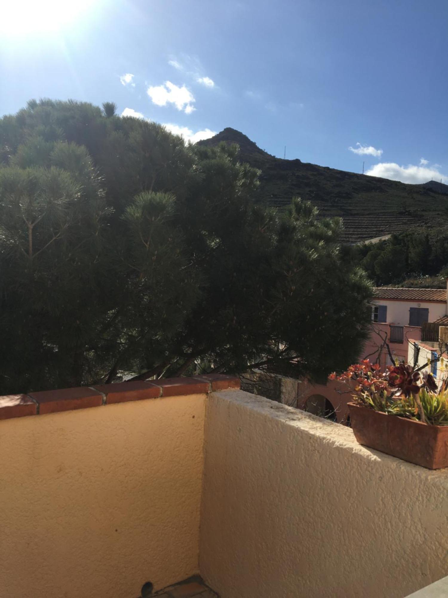 Aloès Appartement